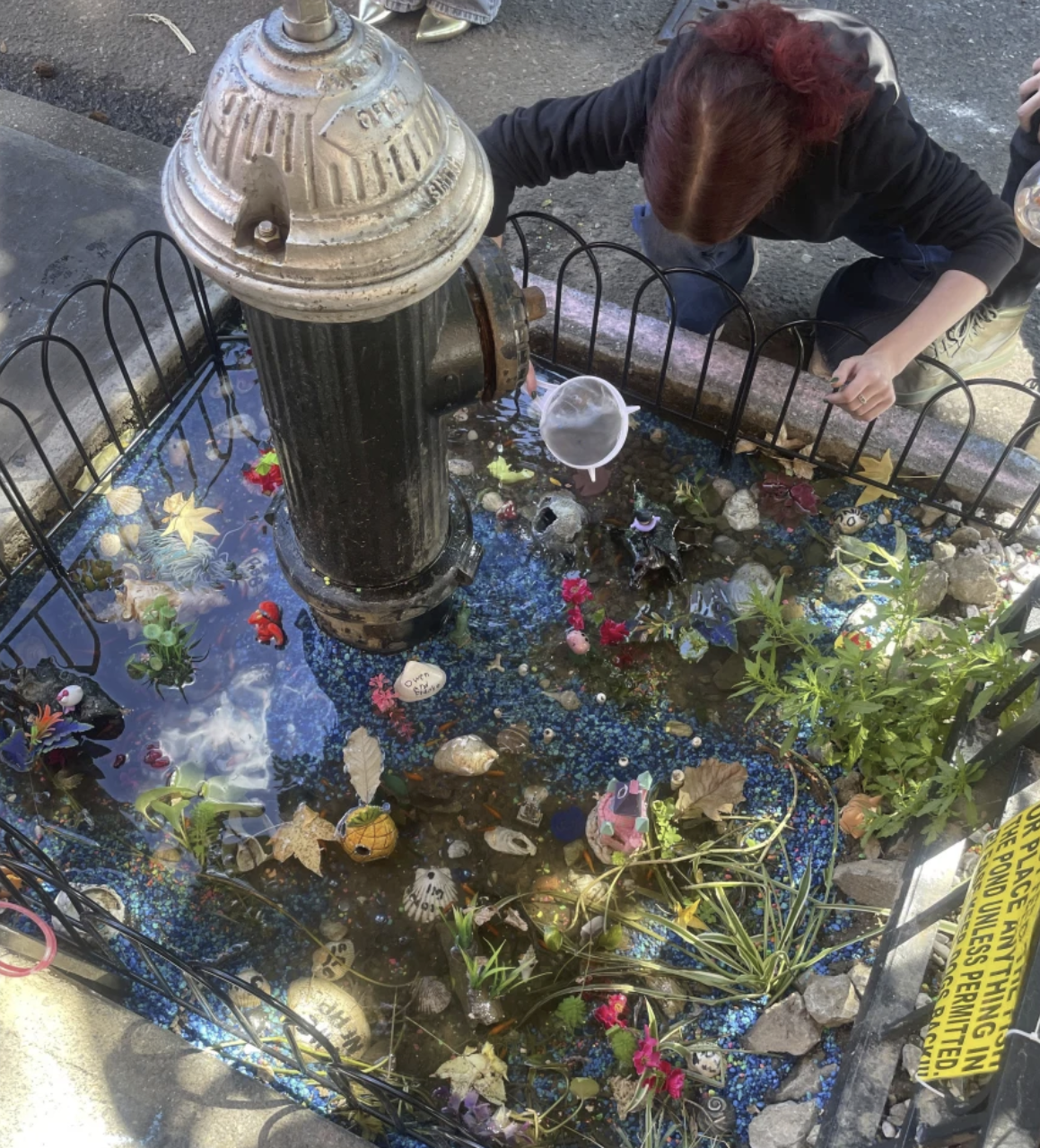 An abrupt goodbye to a guerrilla goldfish aquarium beneath a leaky Brooklyn fire hydrant